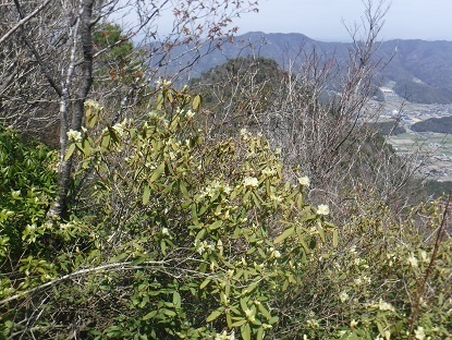 DSCF0543.JPG