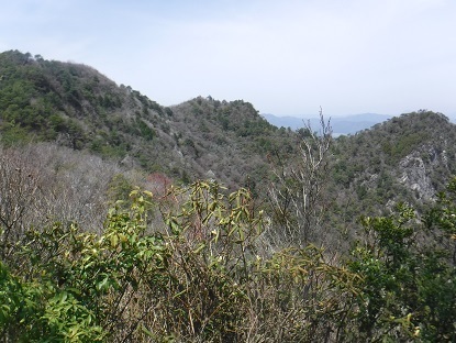 DSCF0544.JPG