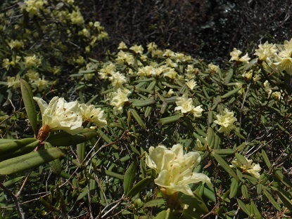 DSCF0564.JPG