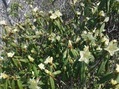 DSCF0577.JPG