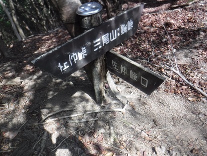 DSCF0579.JPG
