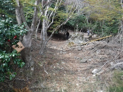 DSCF0587.JPG