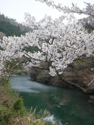 DSCF0589.JPG
