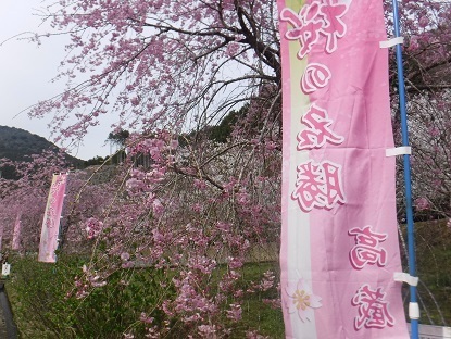 DSCF0594.JPG
