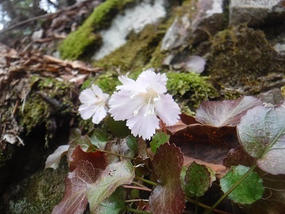 DSCF0625.JPG
