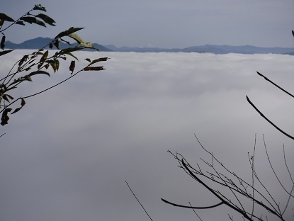 DSCF7196-1.jpg