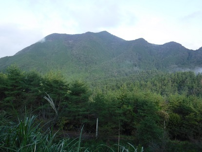 DSCF8337-1.jpg