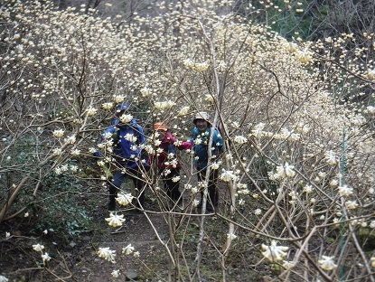 DSCF9926.JPG