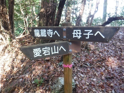 DSCF9929.JPG