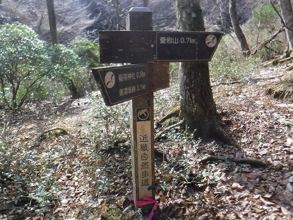 DSCF9931.JPG