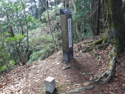 DSCF9941.JPG