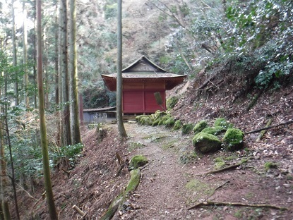 DSCF9950.JPG