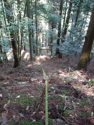 DSCF9956.JPG