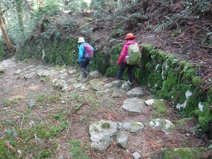 DSCF9969.JPG