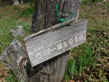DSCF9990.JPG